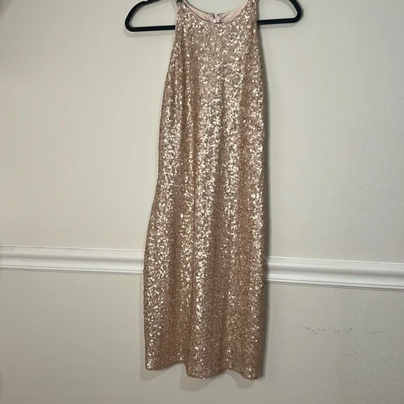 Badgley Mischka | Dresses | Badgley Mischka Beautiful Sparkling Dress Size  2 Pink Rose Coloring | Poshmark
